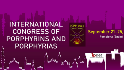 ICPP-2024-ENVISION-oral-presentation-slides-74