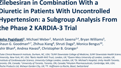 Zilebesiran in combination with a diuretic in patients with uncontrolled hypertension: a subgroup analysis from the Phase 2 KARDIA-3 trial