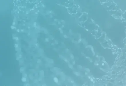 publications-mobile banner